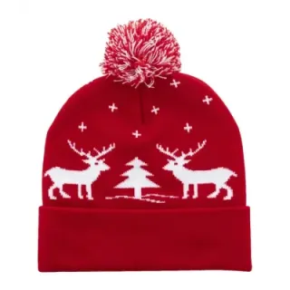 Christmas winter hat - AP800221 (ANDA#05)